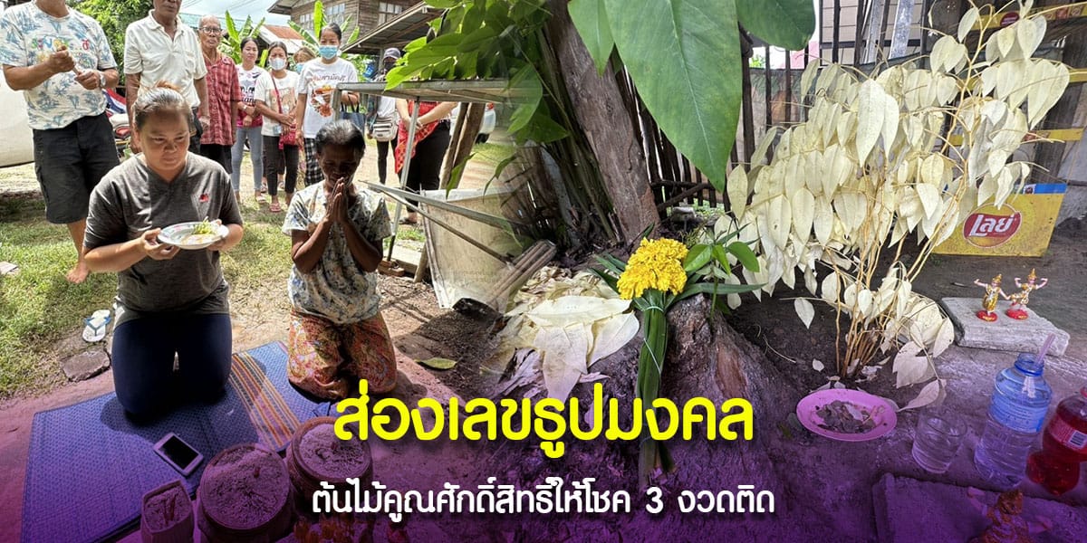 แม่ย่า 4 นางในต้นคูณศักดิ์สิทธิ์เข้าฝันให้โชค