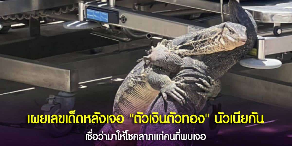 ตัวเงินตัวทองกอดกัน กลางถนนโรงพยาบาล