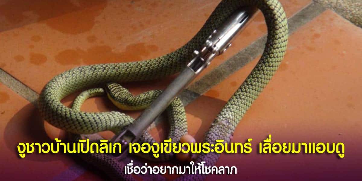 ชาวบ้านเปิดลิเกให้งูเขียวดู