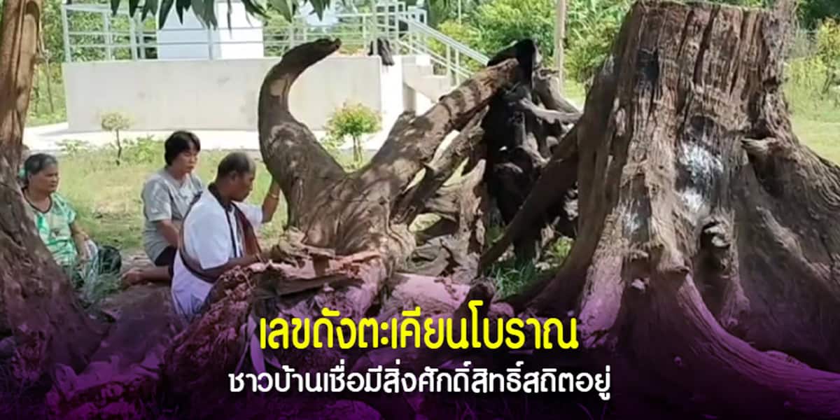เลขดังตะเคียนโบราณ