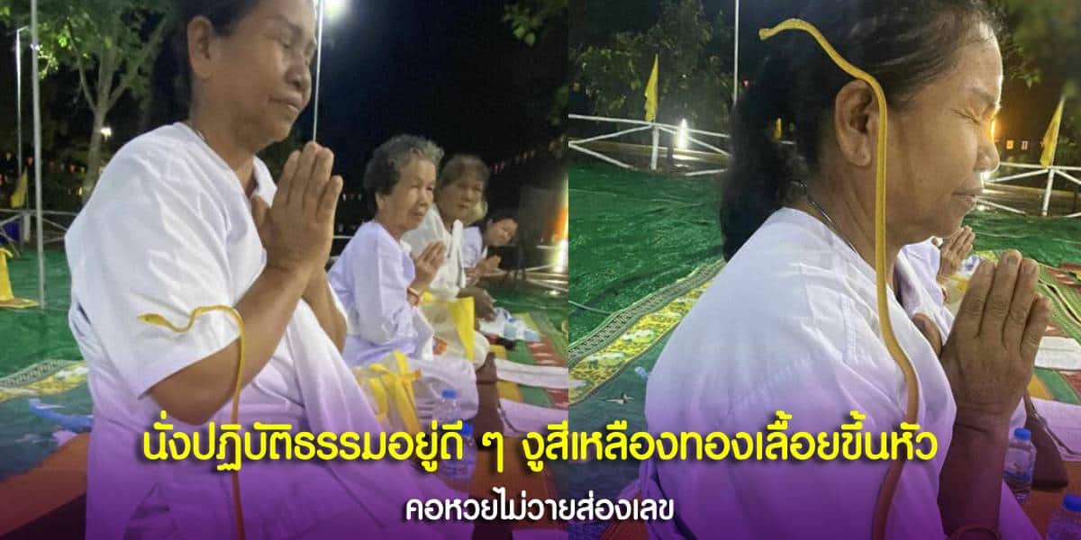 งูเลื้อยขึ้นหัว
