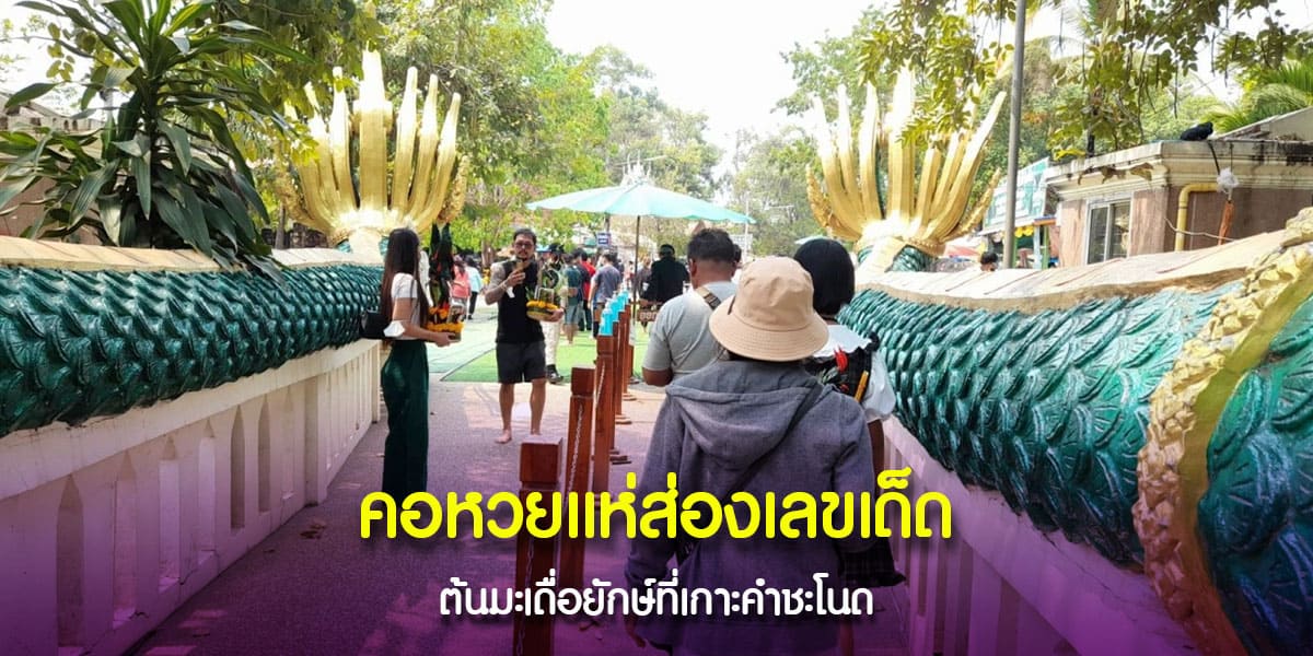 ส่องเลขเด็ดจากต้นมะเดื่อยักษ์ คำชะโนด