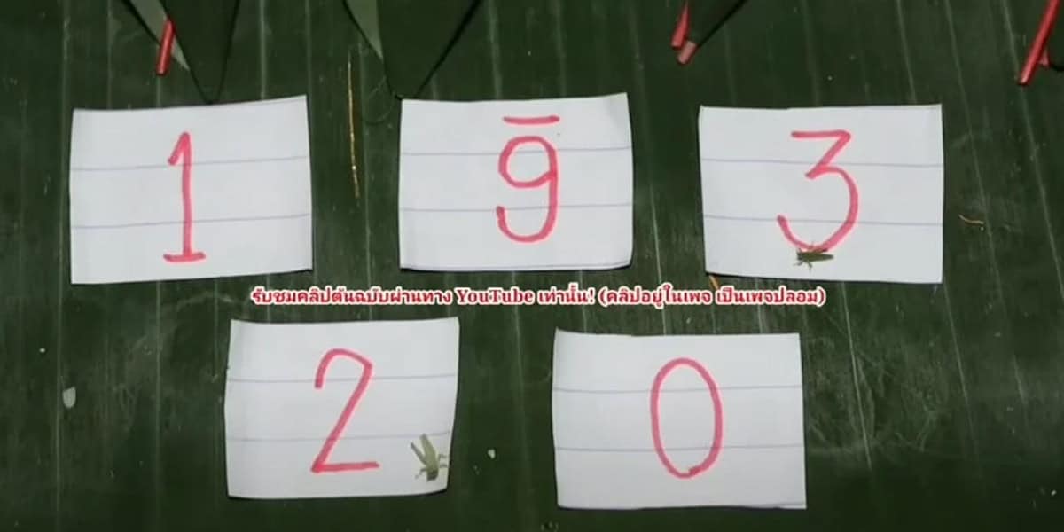 แนวทางเลขดังพญาบึ้ง เตรียมตัวให้พร้อมกับโอกาสลุ้นรางวัลใหญ่ จัดชุดใหญ่